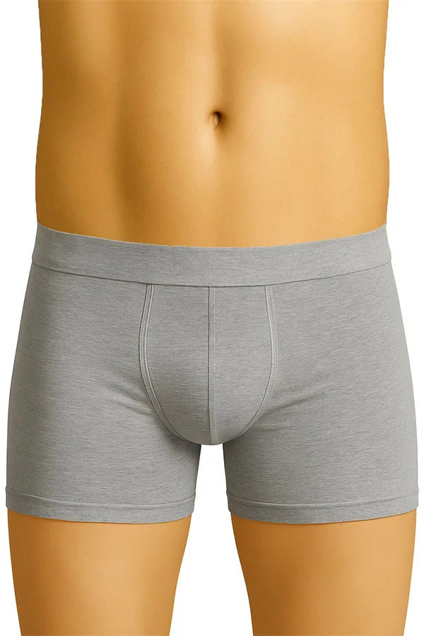 Arias Closet Gri MI Emay 6800 Erkek Boxer